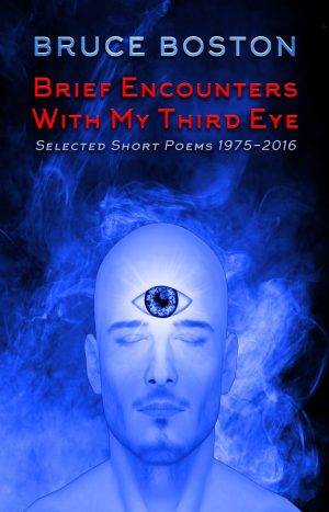 Brief Encounters with my Third Eye by Bruce Boston