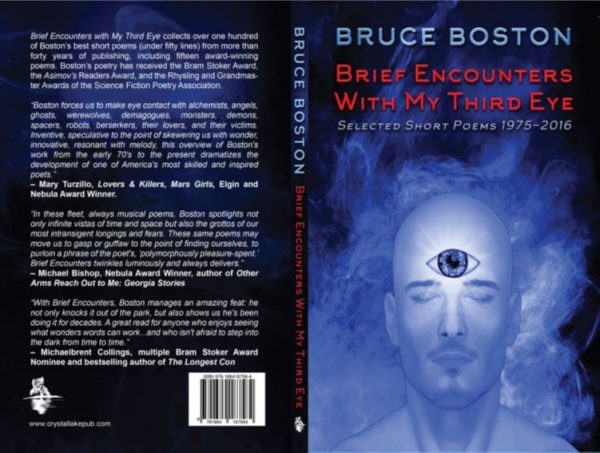 Brief Encounters with my Third Eye by Bruce Boston - Image 4
