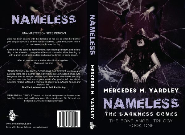 Nameless: The Darkness Comes by Mercedes M. Yardley (Paperback: includes shipping) - Image 2