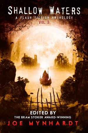 Shallow Waters Vol.3 (eBook)