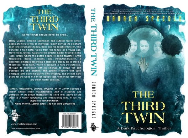 The Third Twin by Darren Speegle - Image 2