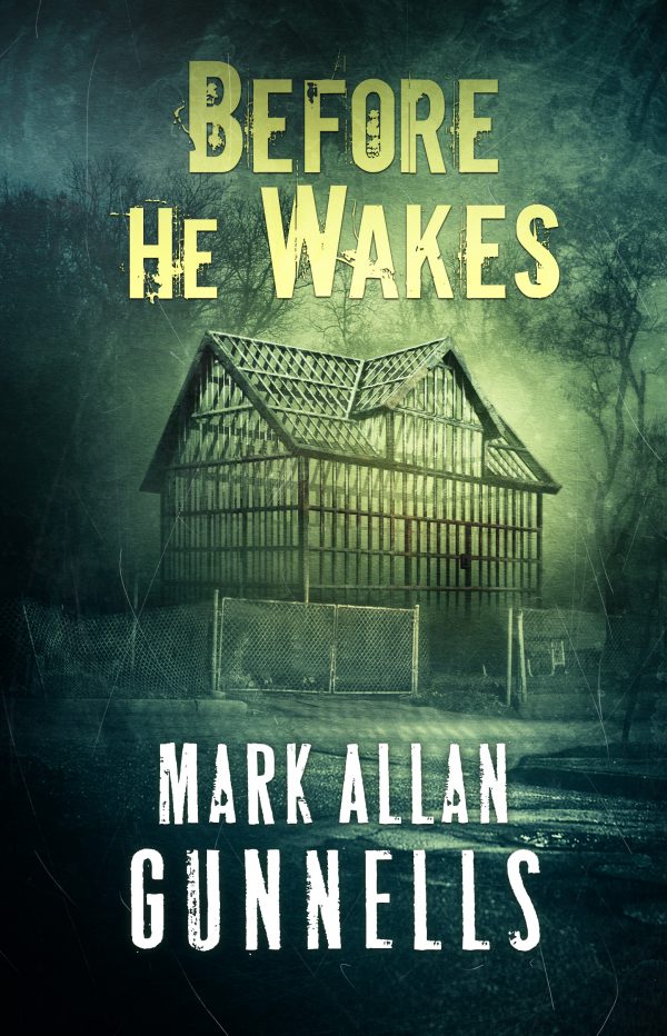 Before He Wakes by Mark Allan Gunnells