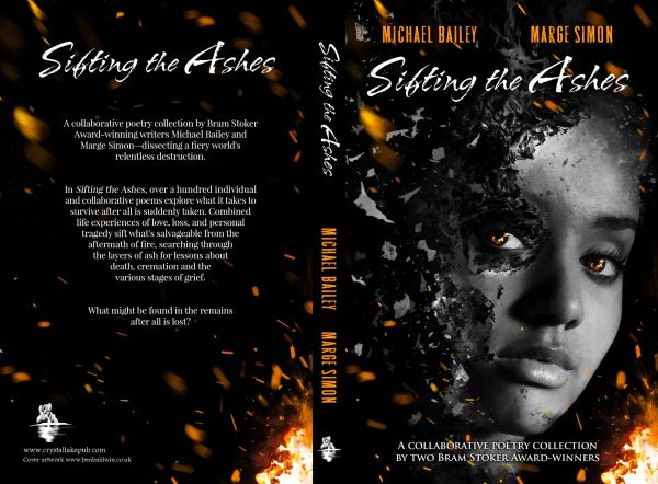 Sifting the Ashes - Image 2