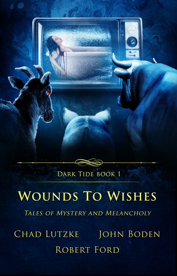 Wounds to Wishes (Dark Tide book 1)