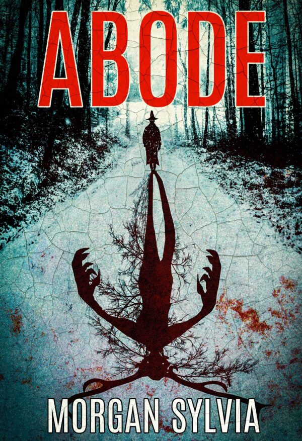 Abode by Morgan Sylvia