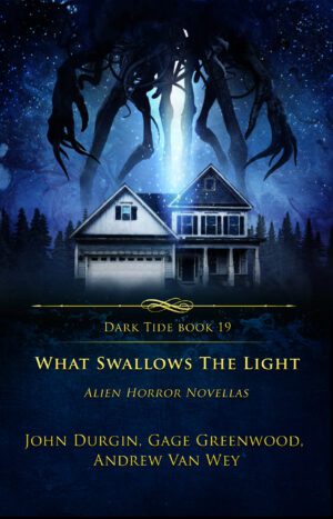 The cover for What Swallows the Light