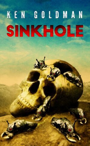 Sinkhole by Ken Goldman