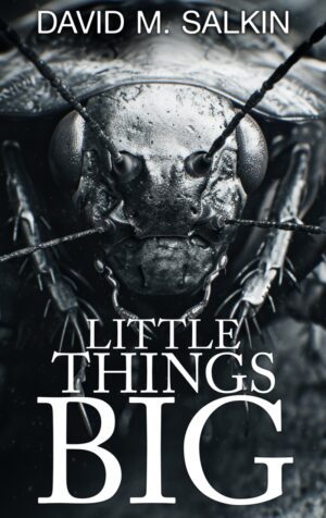 Cover for Little Things Big by David M. Salkin